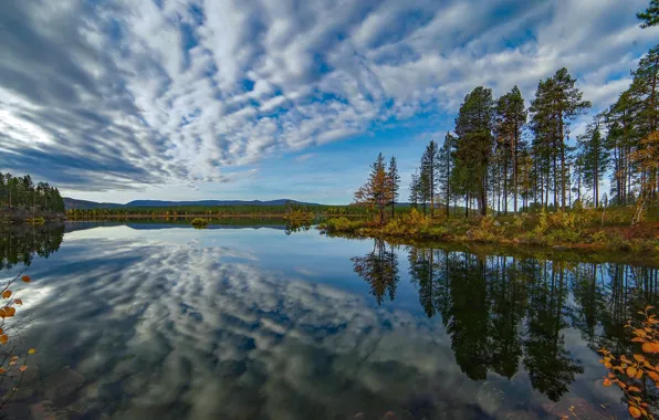 Картинка осень, небо, деревья, озеро, отражение, Швеция, Sweden, Lapland