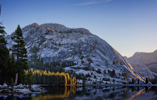 Калифорния, США, Yosemite, Национальный парк Йосемити, Tenaya Lake
