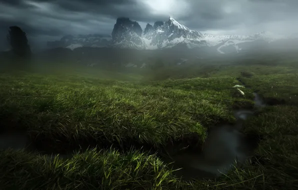 Картинка зелень, трава, горы, туман, ручей, пасмурно, снежные вершины