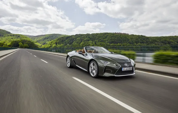 Разметка, Lexus, кабриолет, 2021, LC 500 Convertible