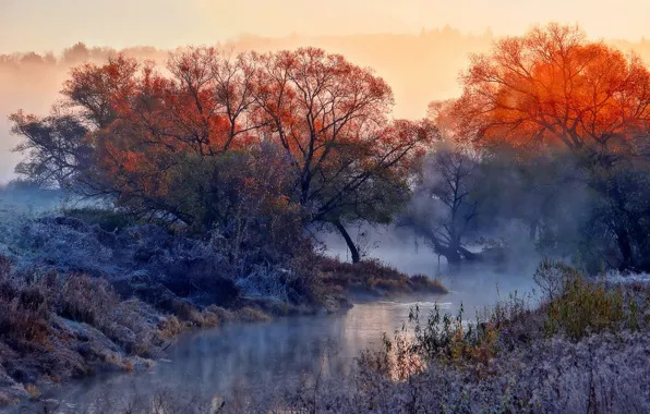 Картинка природа, туман, река, утро