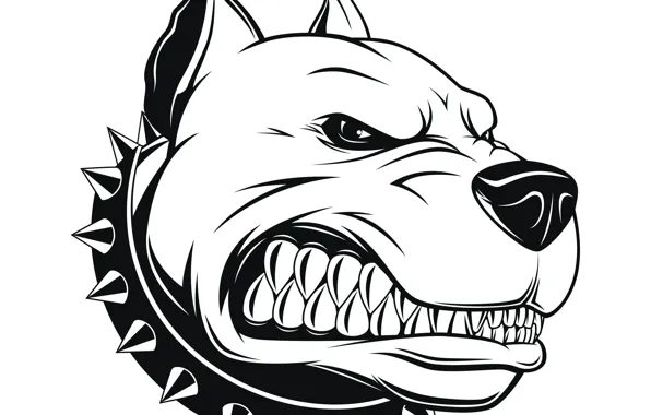 Картинка арт, Pitbull, аватарка, Питбуль, angry dog, злой пес