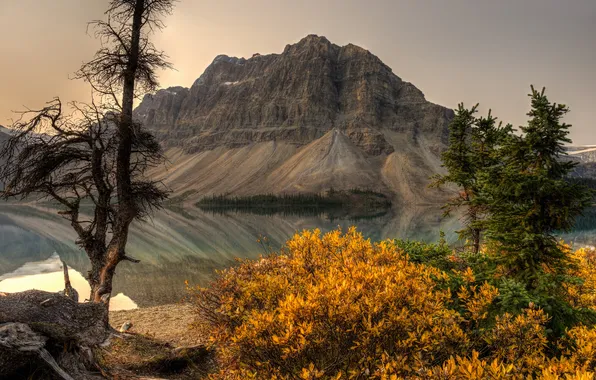 Картинка гора, Канада, Альберта, Banff National Park, Alberta, Canada, кусты, Банф