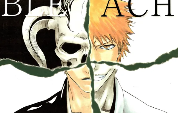 Bleach, Блич, Ичиго Куросаки, Ichigo Kurosaki, маска пустого, синигами, by Tite Kubo