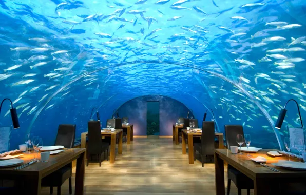 Картинка дизайн, стиль, интерьер, ресторан, Мальдивы, отель, под водой, maldives