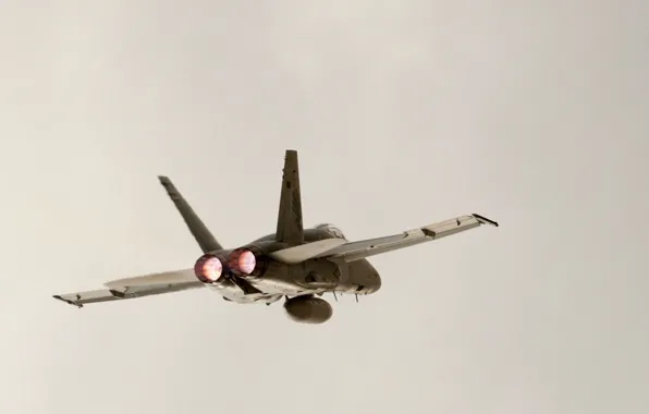 Небо, Самолет, F/A-18 Hornet, McDonnel Douglas