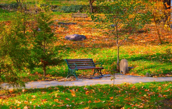 Осень, Скамейка, Парк, Fall, Листва, Park, Autumn, Colors