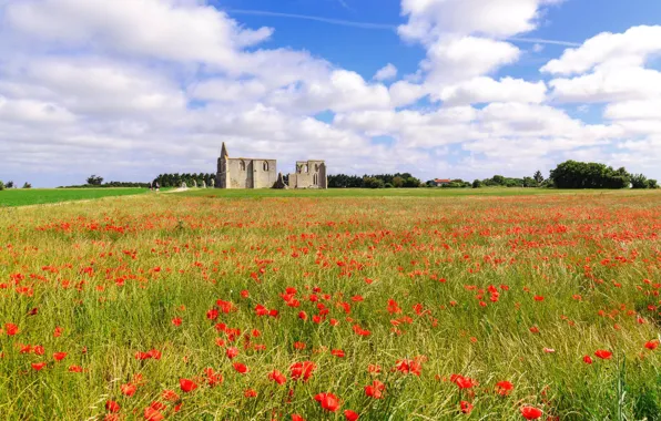 Clouds, France, Abbey, Poppies, Ile de Ré, Charente Maritime, Notre-Dame des Chateliers