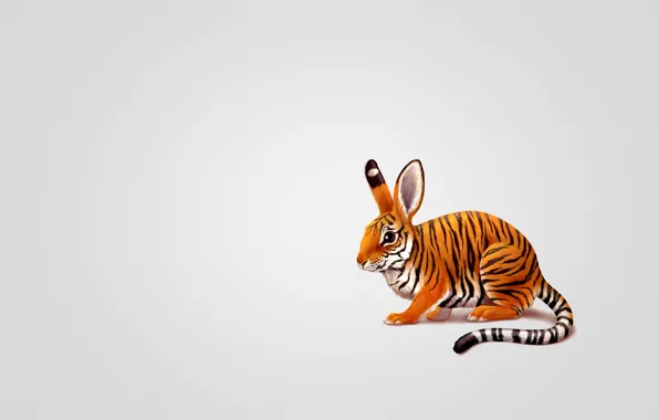 Картинка тигр, животное, заяц, минимализм, кролик, окраска, хвостатый