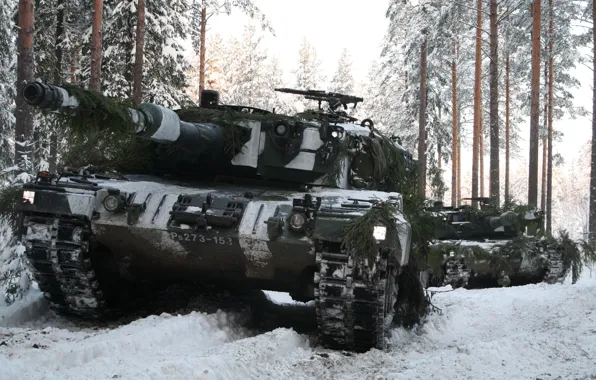Картинка Leopard 2A6, Немецкий, Зимний Лес, Основной Танк, Leopard 2