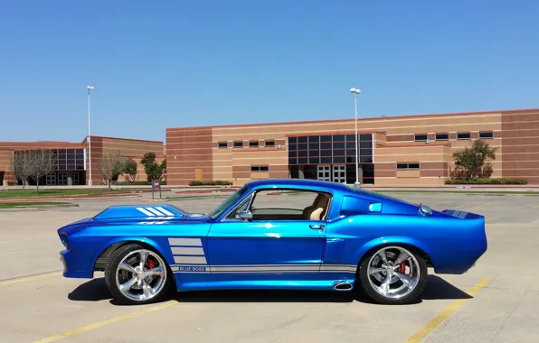 Mustang, Ford, Blue, 1967, Boss