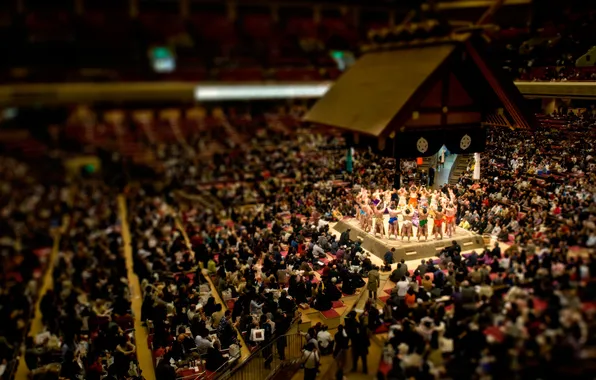 Sport, Japan, tilt shift, Asia, sumo, Yokozuna