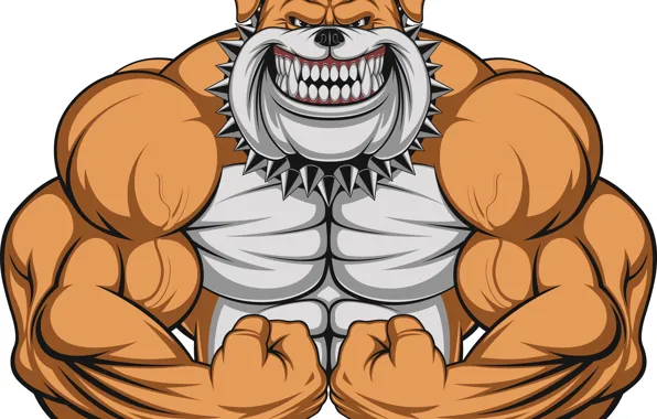 Собака, бульдог, зверь, Арт, мышцы, dog, muscles, бодибилдер