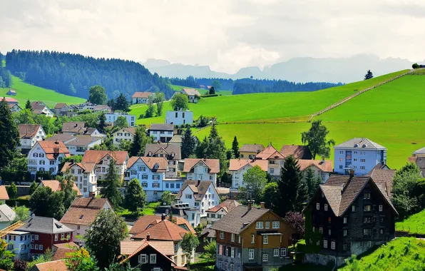 Картинка горы, поля, дома, Швейцария, леса, Speicher