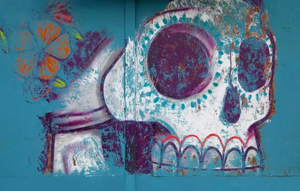 Рисунок, череп, Мексика, хэллоуин, роспись, Оахака
