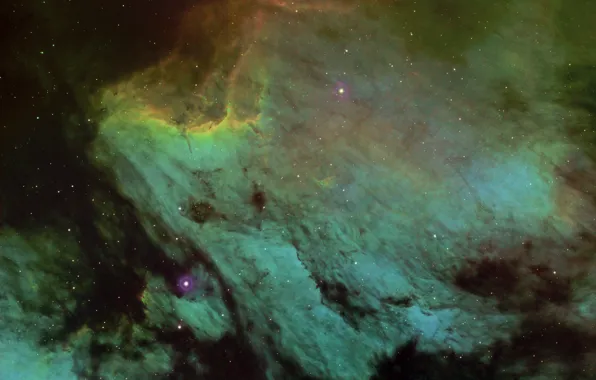 В созвездии, Лебедя, Пеликан туманность, Pelican Nebula