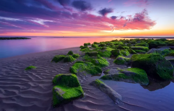 Картинка море, закат, берег