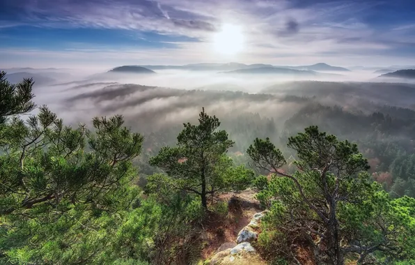 Картинка солнце, облака, пейзаж