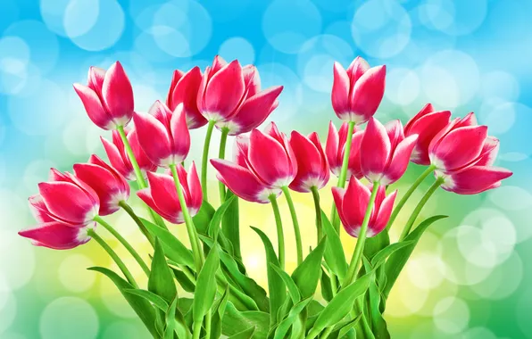 Картинка блики, фон, тюльпаны, розовые