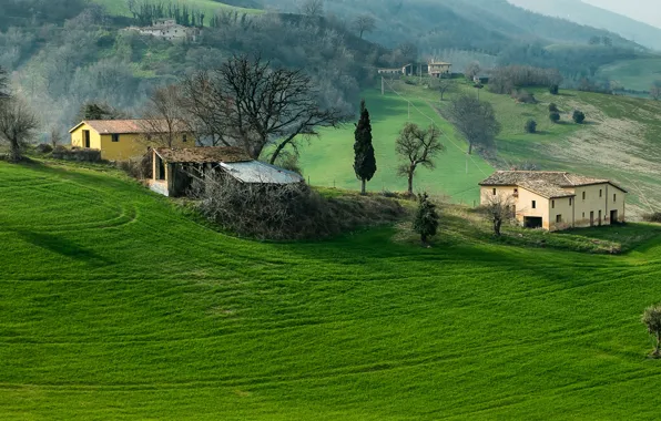 Картинка поле, трава, деревья, горы, дом, холмы, Италия, Кампания