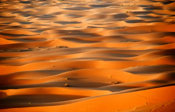 Пустыня, дюны, Африка, Сахара, Марокко
