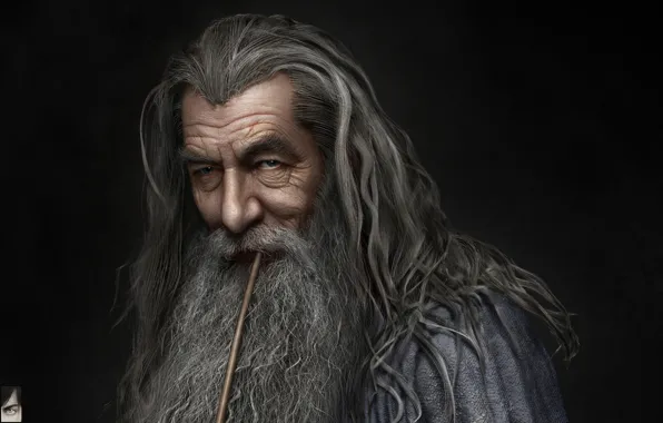 Картинка арт, маг, Джон Рональд Руэл Толкин, Гэндальф, Hossein Diba, Gandalf the Grey - Final