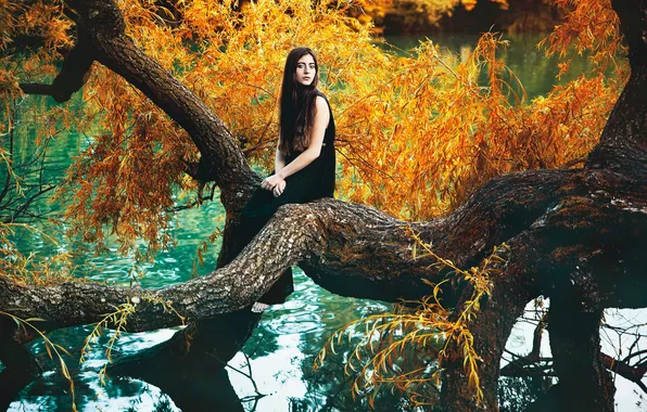 Осень, листья, девушка, река, дерево, Diane