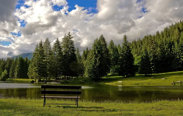 Лес, небо, трава, вода, облака, горы, скамейка, озеро