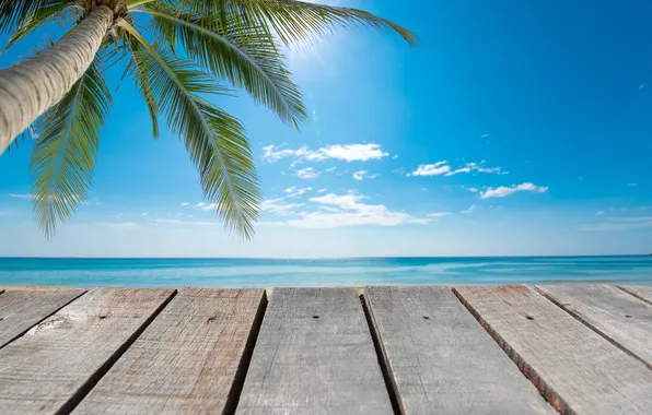Море, пляж, лето, небо, пальмы, summer, beach, sea