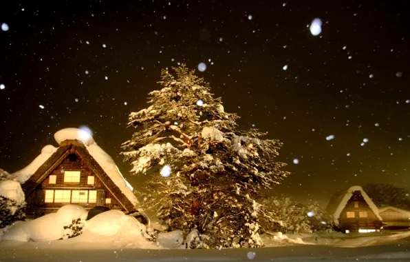 Картинка снег, деревья, ночь, дома, Зима