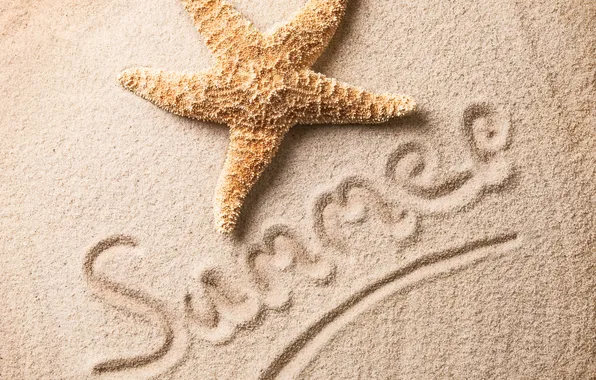 Песок, пляж, морская звезда, summer, beach, sand, starfish