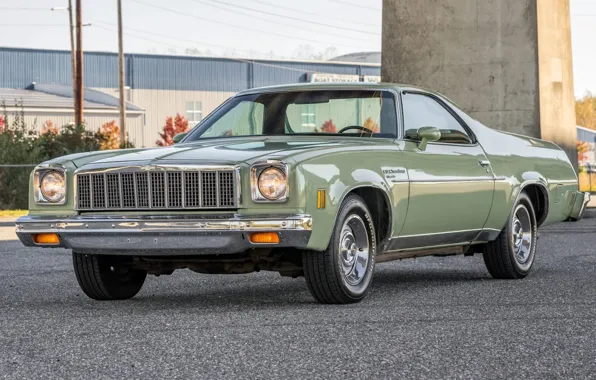 Картинка Chevrolet, El Camino, '1975