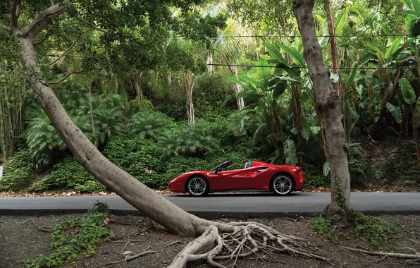 Картинка Ferrari, 2017, 488, Ferrari 488 Spider 70th Anniversary