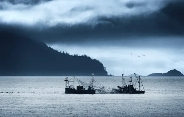 Sea, mountains, fishing, cloudy, net, salmon, seagulls, fishermen