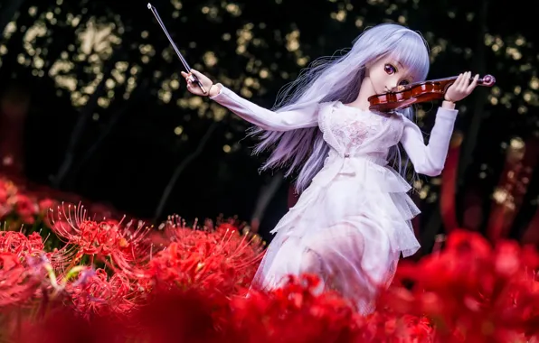 Девушка, цветы, скрипка, волосы, кукла
