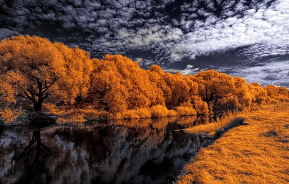 Картинка осень, небо, облака, деревья