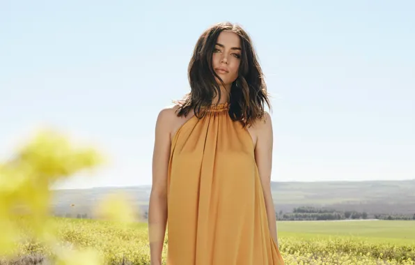 Картинка взгляд, девушка, поза, платье, актриса, Ana de Armas