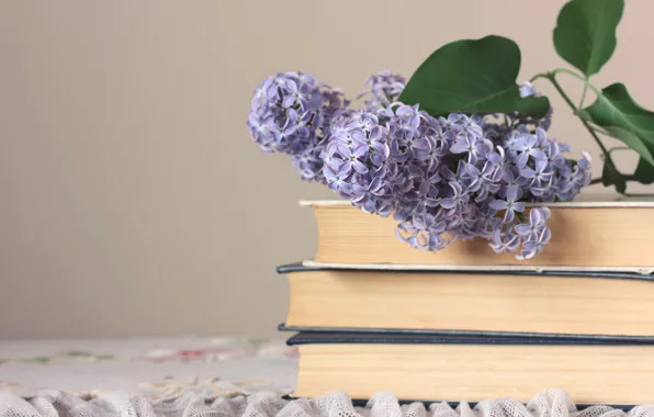 Картинка цветы, ветки, весна, книга, сирень