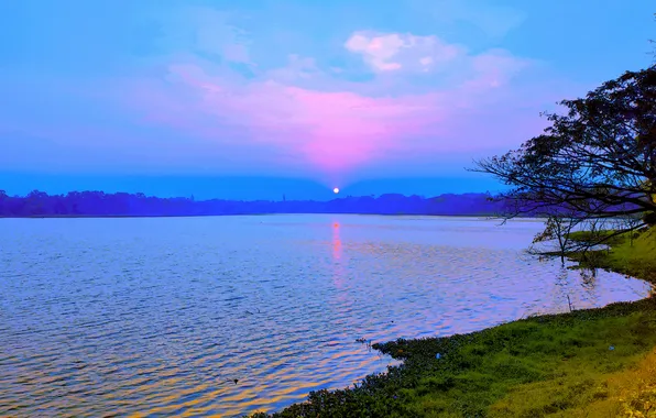 Sun, Water, Sunrise, Dawn, Morning, Lake, Trees, Reflection