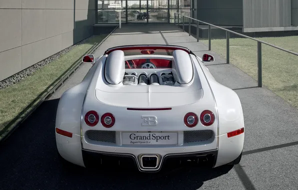 Картинка Bugatti Veyron, бугатти, выхлоп, roadster, задок, вейрон, Grand Sport, Wei Long