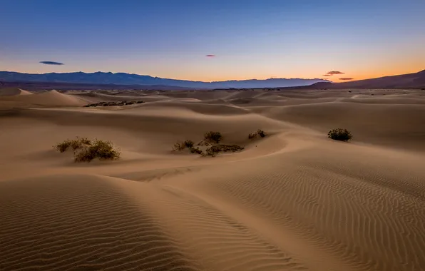 Desert, mountain, sand, sunrise, dawn, dunes