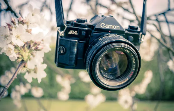 Картинка весна, камера, сад, Canon