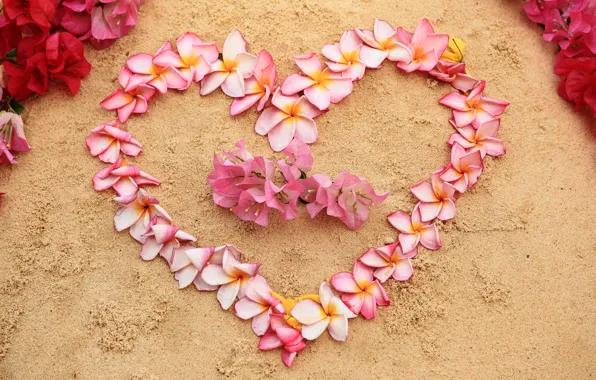 Картинка песок, пляж, цветы, сердце, love, beach, heart, pink