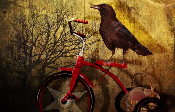 Картинка велосипед, дерево, птица, ворон, корзинка, персик