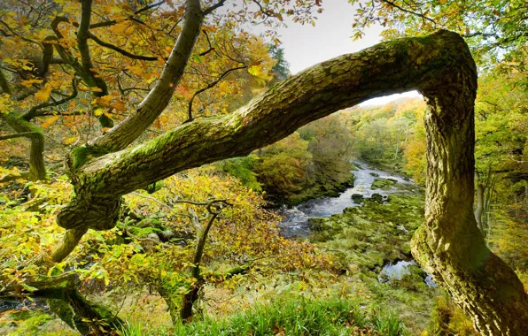 Англия, Северный Йоркшир, река Уорф