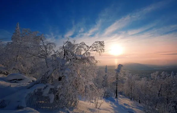 Картинка зима, снег, деревья, рассвет, утро, Россия