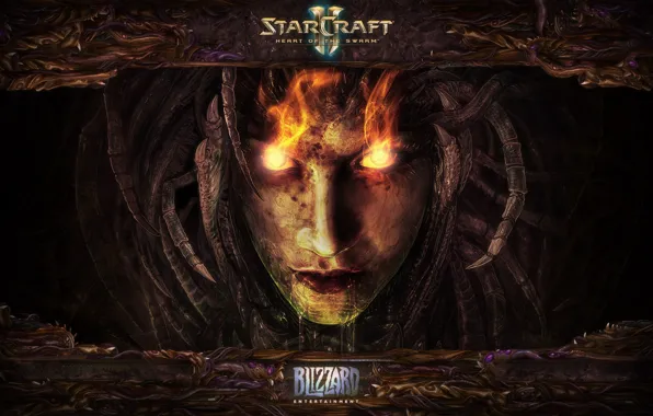 Картинка Blizzard, Starcraft 2, Heart of The Swarm, Старкрафт