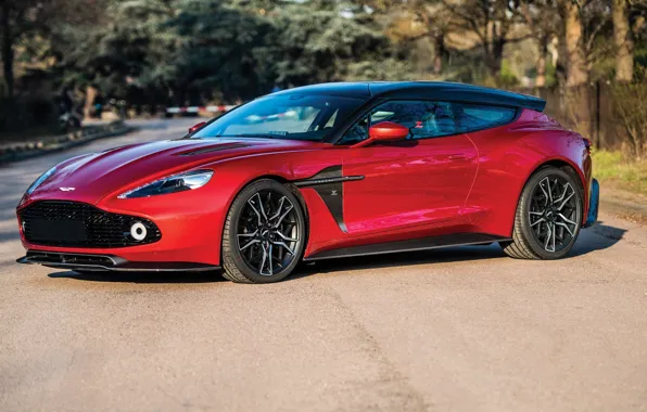 Картинка Aston Martin, Zagato, Vanquish, Shooting Brake