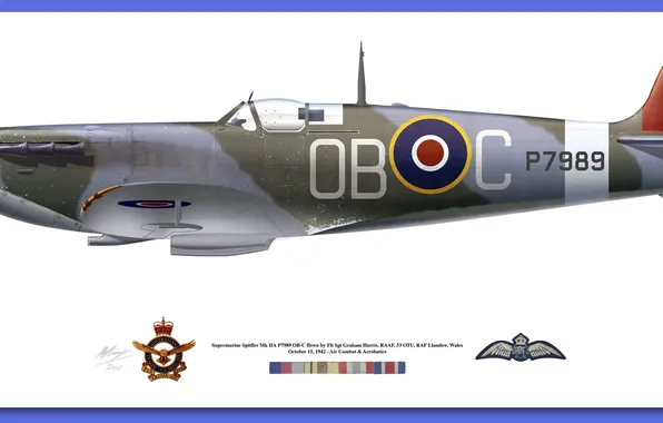 Signs, medals, spitfire mk vb