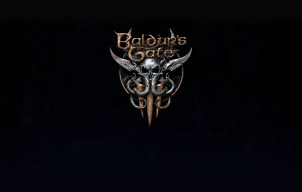 Fantasy, Game, RPG, Forgotten Realms, Forgotten, DnD, Baldurs Gate, Larian Studios